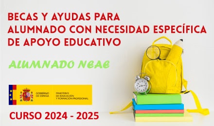 BECAS NEAE 24 25